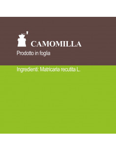 CAMOMILLA IN FOGLIA