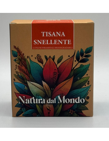 Filtri Piramidali seta TISANA SNELLENTE 2,5 gr - 12 pz