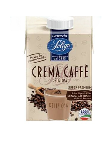 Crema Fredda Al Caffè - Brick da 500 gr