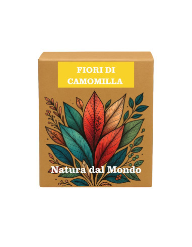 Filtri Piramidali seta FIORI DI CAMOMILLA 2 gr - 12 pz