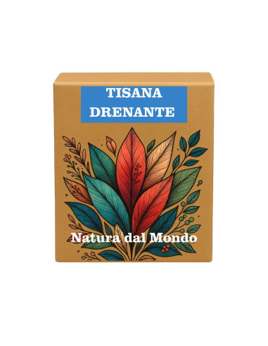 Filtri Piramidali seta TISANA DRENANTE 2,5 gr - 12 pz