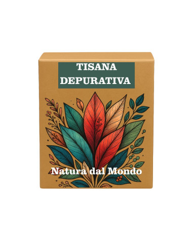 Filtri Piramidali seta TISANA DEPURATIVA 2,5 gr - 12 pz