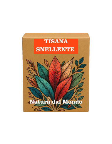 Filtri Piramidali seta TISANA SNELLENTE 2,5 gr - 12 pz