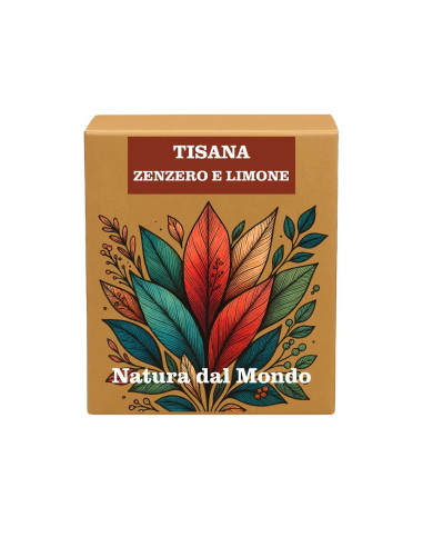 Filtri Piramidali seta TISANA ZENZERO E LIMONE 2,5 gr - 12 pz